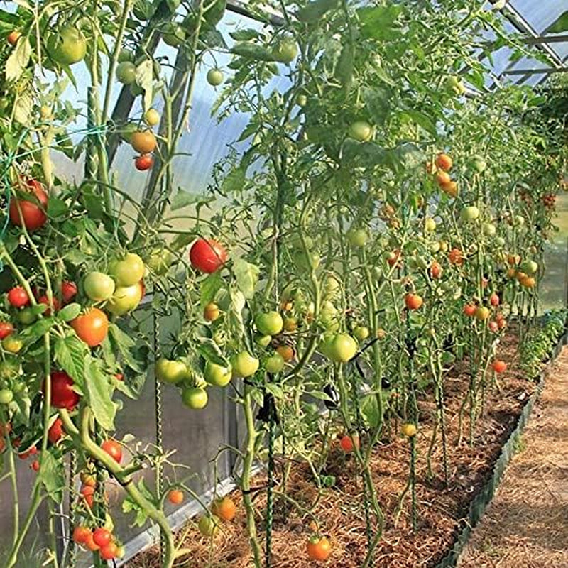 Eco-Friendly 3-FT Fiberglass Garden Stakes, Tomato Stakes, Plant Stakes (Pack of 20), 0.28-Inch Dia