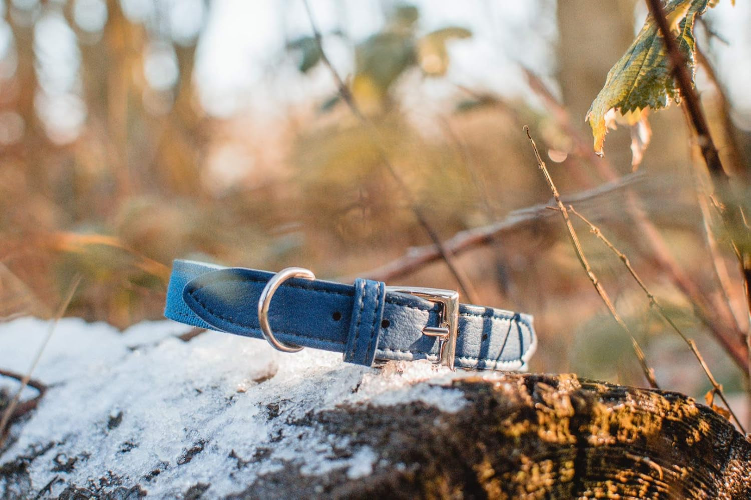 Eco Friendly E-Leather Dog Collar, Sustainable and Recycled Material Pet Collars (Medium, Monterey)