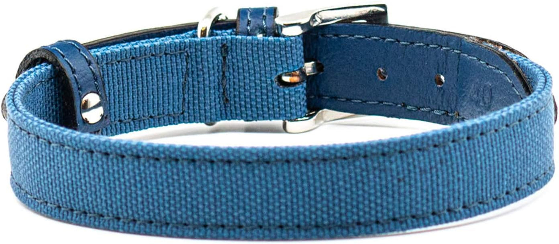 Eco Friendly E-Leather Dog Collar, Sustainable and Recycled Material Pet Collars (Medium, Monterey)