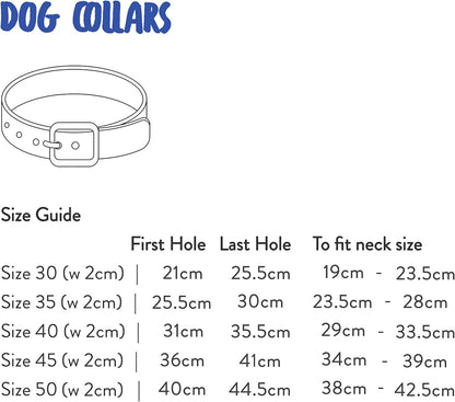 Eco Friendly E-Leather Dog Collar, Sustainable and Recycled Material Pet Collars (Medium, Monterey)